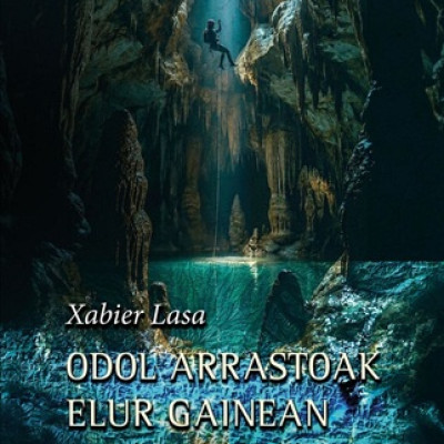 Odol arrastoak elur gainean.jpg