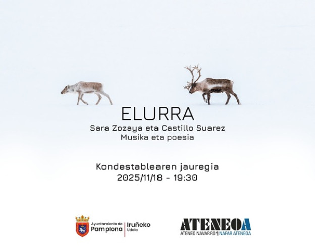 Elurra-Castillo eta Zozaya-laukia.jpg