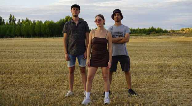ziztada-870x480.jpg