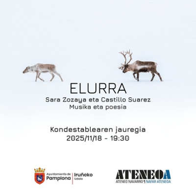 Elurra-Castillo eta Zozaya-laukia.jpg