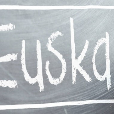 euskarabidea dirulaguntzak.jpg